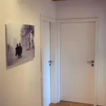 Rent 3 bedroom apartment of 100 m² in frankfurt