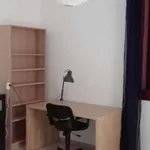 Rent a room in bologna