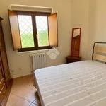 Villa in affitto a Castellabate piazza antonio mondelli, arredato, giardino privato, posto auto - TrovaCasa