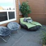 Rent 1 bedroom house in Edmonton