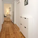 Rent 2 bedroom apartment of 60 m² in Berlin