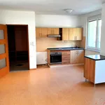 Rent 2 bedroom apartment of 45 m² in Ostrava