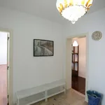 Rent 6 bedroom apartment in Lisbon