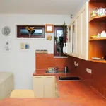 Rent 1 bedroom apartment of 32 m² in Prague