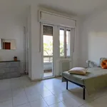 Rent 1 bedroom apartment in milan