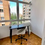 Rent a room in madrid