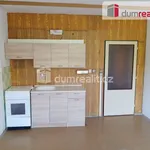 Rent 1 bedroom apartment of 25 m² in Děčín