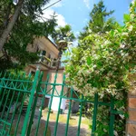 Rent 3 bedroom apartment of 100 m² in Penne (PE)