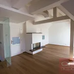 Rent 1 bedroom house of 250 m² in Capital City of Prague