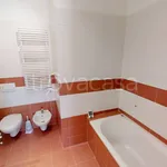 Rent 3 bedroom apartment of 90 m² in Trieste