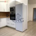 Rent 4 bedroom apartment of 92 m² in Jinačovice