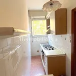 Rent 3 bedroom apartment of 75 m² in Bologna