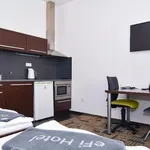 Rent 1 bedroom apartment of 24 m² in Brno