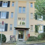 Miete 2 Schlafzimmer wohnung von 753 m² in Zurich