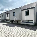 Rent 3 bedroom house of 157 m² in Burg-Reuland