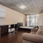 3 bedroom apartment of 452 sq. ft in Montreal