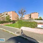 Rent 3 bedroom apartment of 85 m² in Rome