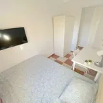 Rent a room in seville