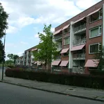 Rent 3 bedroom apartment of 90 m² in Soest