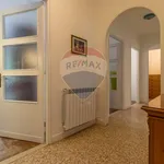 Rent 5 bedroom apartment of 104 m² in Veglio