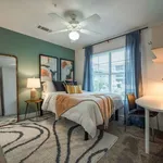 Rent 1 bedroom apartment in San Marcos