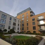 Rent 1 bedroom flat of 37 m² in Reading