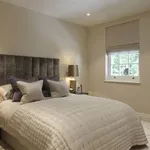 Rent 5 bedroom house in London