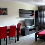 Rent 2 bedroom apartment of 47 m² in Katowice