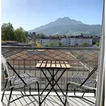 3½ room apartment in Luzern, furnished, temporary