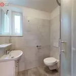 Rent 2 bedroom apartment of 43 m² in Mariánské Hory a Hulváky