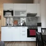 Rent 1 bedroom apartment of 24 m² in Prague