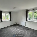 Rent 1 bedroom apartment in East Of England