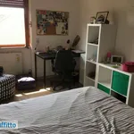 Rent 3 bedroom apartment of 105 m² in Milan