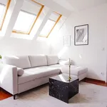 Rent 1 bedroom apartment of 538 m² in vienna