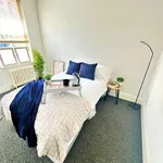 Rent 1 bedroom apartment in East Midlands