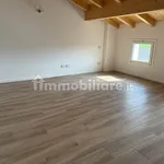 Affitto 3 camera appartamento di 85 m² in Carpi