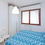 Rent 1 bedroom apartment in Rome