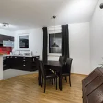 Rent 2 bedroom apartment of 47 m² in Lodz