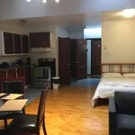  appartement avec 1 chambre(s) en location à Montreal