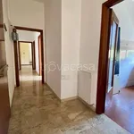 Rent 4 bedroom apartment of 72 m² in Bologna