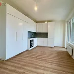 Rent 1 bedroom apartment in Praha