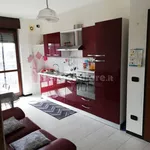 Rent 2 bedroom apartment of 50 m² in Caselle Torinese