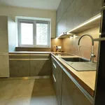 Rent 1 bedroom apartment of 55 m² in Troubsko