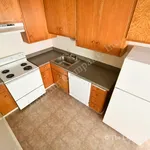 Rent 1 bedroom apartment in Berkeley