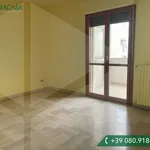 Affitto 3 camera appartamento di 85 m² in Bari