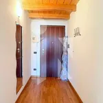 Rent 1 bedroom apartment of 40 m² in Mantua