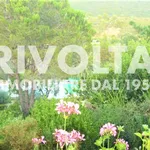 Rent 8 bedroom house of 200 m² in Monte Argentario