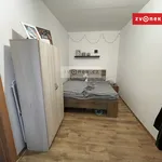 Rent 2 bedroom apartment of 45 m² in Zlín