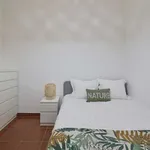 Rent a room in lisbon