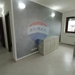 Affitto 3 camera appartamento di 84 m² in Viterbo